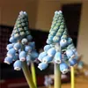 Bulbos e sementes de Jacinto para cultivo hidropônico em ambiente interno, cultivo em solo no inverno, flores de vaso resistentes e fáceis de cultivar