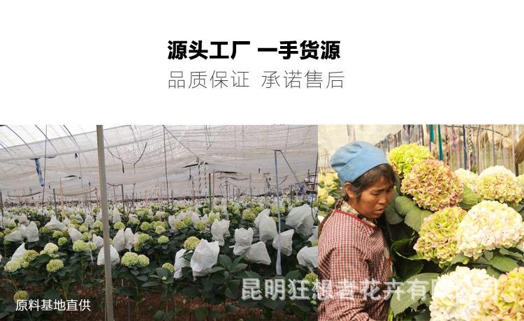 微信图片_20200902112517.jpg