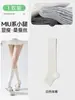 Meias de Cano Longo Estilo Miu, Aquecedores de Pernas de Seda, Meias Brancas para Panturrilha Feminina, Meias Longas Finas de Verão, Estilo Ballet