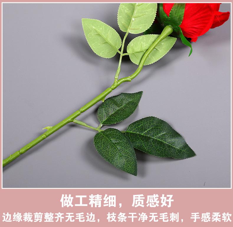 玫瑰_03.jpg
