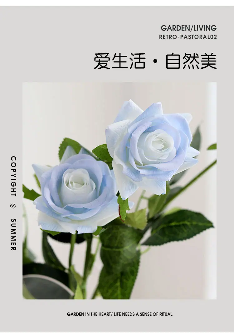 碎冰蓝保湿玫瑰_03.jpg