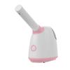 Vaporizador facial con doble pulverización de agua fría y caliente para salón de belleza, aromaterapia, aceite esencial, humidificador facial de frutas y verduras, instrumento de belleza hidratante para el hogar