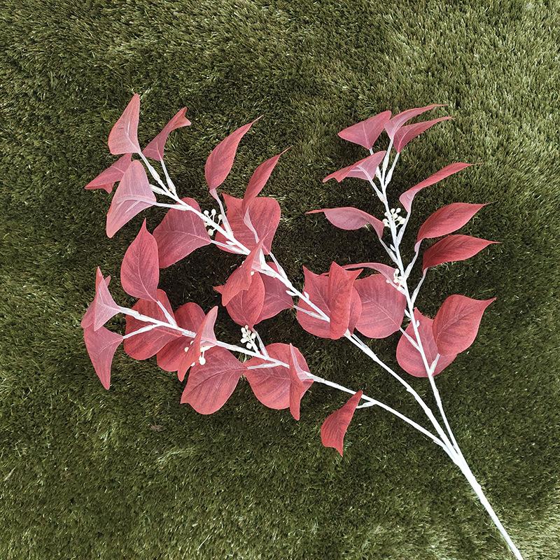 菩提叶添加颜色 橘色