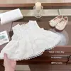 ¡Pequeño Pastel Cremoso! Conjunto de Verano Favorito para Niñas con Elaborada Blusa de Encaje Francés y Shorts