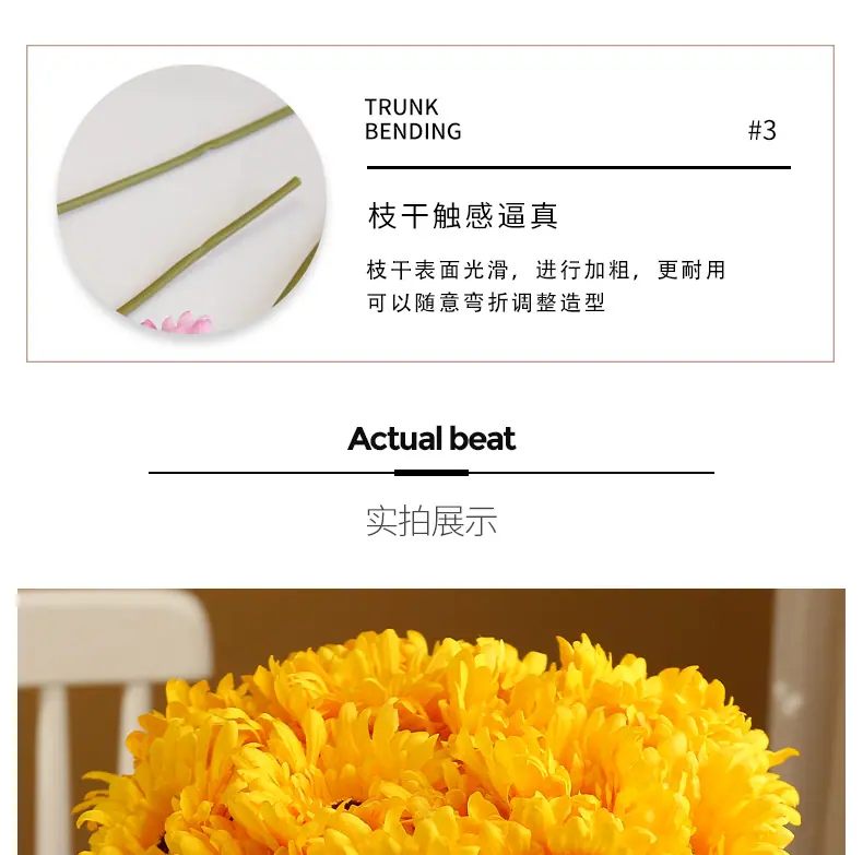 短枝菊-花_07.jpg