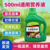 Solución Nutritiva Universal para Plantas de Jardín en Casa, Plantas Verdes, Plantas en Maceta, Bambú de la Suerte, Ficus Verde, Fertilizante de Solución Nutritiva Concentrada Hidropónica