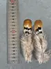 Venta al por mayor del fabricante Plumas Pequeñas de Faisán DIY Tocado de Plumas de Faisán Broche Sombrero Zapatos Artesanías Materiales de Decoración