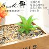 020 Suprimentos Criativos DIY para Cabeças de Flores de Suculentas, Acessórios para Arranjos Florais, Venda Direta do Fabricante, Flores Artificiais de Plástico e Plantas Verdes