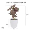 Más de 100 Tipos de Flores Artificiales y Plantas Verdes, Combinaciones de Plantas Artificiales en Maceta de Plástico, Flores Artificiales de Venta Caliente Transfronteriza, Mini Bonsáis Artificiales, Fuentes de Suministro