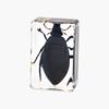 Resina de Venta Caliente Transfronteriza Muestras de Insectos Reales Araña Escorpión Saltamontes Regalo de Recompensa para Estudiantes de Primaria Regalo Artesanal