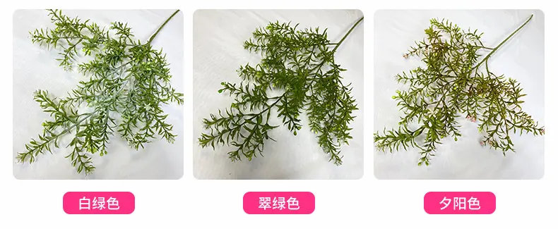 产品颜色.jpg