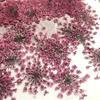 Flor de miçanga de neve absorvente e tingida/Flor de renda flor seca espécime de planta em relevo material DIY cola de gota joia arte de unha adesivo facial