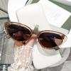 Nuevas Gafas de Sol Ojo de Gato de Montura Pequeña Europeas y Americanas Transfronterizas Personalizadas Gafas de Sol de Moda para Mujer 5134