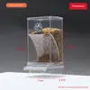Comedero Práctico Para Loros Y Pájaros Con Separación De Cáscaras Diseño Antiderrames Para Fácil Instalación Y Limpieza Rápida En Jaulas Para Pájaros