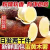 Mandioca Amarela Especial de Guangxi Recém-Desenterrada Carne Amarela Mandioca para Pão Sopa de Mandioca Água com Açúcar Loja Mesmo Estilo Disponível para Atacado