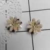 Presilha Flor de Cristal, Presilha Pequena Simples e Versátil para Franja, Presilha Elegante de Lado Celebridade da Internet, Mini Presilha de Cabelo