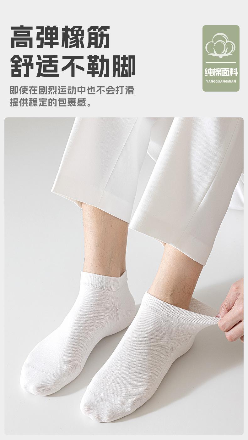 男袜-瑞欣CZ2512_10.jpg