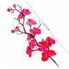 Decorações de Bolo de Aniversário da Moda para Avós: Pêssego da Longevidade, Leque Dobrável, Bambu e Velas de Aniversário para Idosos