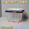 Caja de aislamiento totalmente transpirable, caja de cría para la cría y el aislamiento de peces ovovivíparos. También usable en acuarios marinos