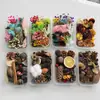 Pacote de Materiais DIY com Flores e Frutas Secas Misturadas Materiais de Criação Ambiental para Jardim de Infância Pacote de Materiais Estilo Floresta Artesanal Pacote de Materiais de Natal Pinhas
