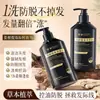 Champú Fortalecedor y Anticaída con Polygonum Multiflorum, Anticaída Herbal, Voluminizador, Anticaspa, Champú al por Mayor, Loción para el Cuidado del Cabello