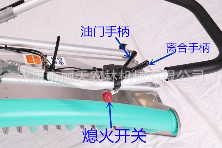 详情7.jpg