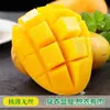 Manga Hainan Xiaotainong 5kg Fresca Xiaotainong Fruta Tropical Sazonal Colhida Fresca Manga Coraçãozinho Produz Frutos Grandes