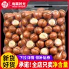 Nozes de Macadâmia 500g Sabor Cremoso Frutas Secas a Granel para Grávidas Lanche de Nozes Original Casual para Feriados
