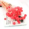 Yunnan Fábrica Atacado Pinheiro Eterno Fruta Verme Fruta Moinho de Vento Fruta Cobertura de Vidro Artesanato Material de Flor Aromaterapia Flores Secas Decorativas