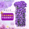 Flores Artificiales, Flores Artificiales, Ratán, Violetas, Hortensias, Flores de Seda, Orquídeas Colgantes, Cestas de Flores Colgantes de Pared, Cestas Colgantes de Interior para Sala de Estar, Decoraciones de Pared