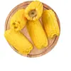Milho Glutinoso Amarelo do Nordeste Pedaços de Milho Glutinoso [8-10 Pedaços] 1kg Embalado a Vácuo Produto Agrícola Comestível Milho Não-OGM