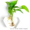 Vaso de Parede Vidro Criativo Sala de Estar Decoração de Parede Transparente Simples Hidropônico Arranjo de Flores Planta Pothos de Parede Vaso de Flores