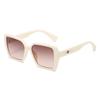 Óculos de Sol Retrô de Armação Grande Transfronteiriços para Mulheres, Óculos de Sol de Moda Personalizados, Óculos Anti-UV, Itens da Moda Quentes no Atacado