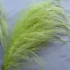Grama Barba de Dragão Eterna Pendurada Arroz Decoração de Casa Pendurada na Parede Planta de Rattan Decoração de Casamento Grama Aspargo Grama Pena Grama Barba de Dragão