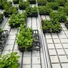 Estufa Hidroponia Cama de Mudas Estrutura de Liga de Alumínio Cama de Mudas de Maré Cultivando Legumes Flores Cama de Mudas Móvel