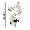 Nuevo Modelo Transfronterizo 21-Flor Mariposa Orquídea Bonsái Artificial en Stock, Película de Tacto Realista Flor Artificial Planta Verde de Escritorio Decoración en Maceta