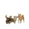 Silla de ruedas para perros hecha a medida transfronteriza, Ayuda de movilidad para mascotas de extremidades traseras, Dispositivo de asistencia para que gatos se pongan de pie y caminen, Silla de ruedas de rehabilitación para mascotas discapacitadas