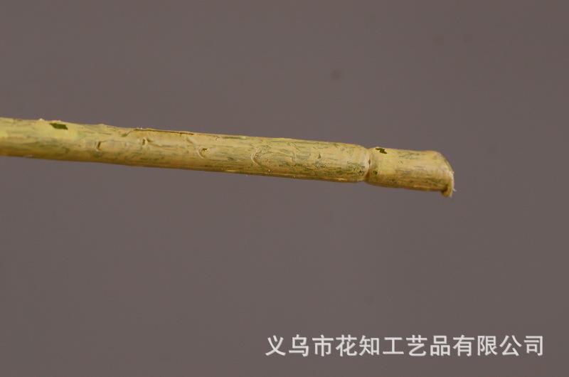 2-11白色安迪小白果.jpg