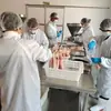 Salchicha roja estilo Harbin, especialidad auténtica del noreste, salchicha tradicional con sabor a ajo ahumado con madera frutal, salchicha de carne magra pura
