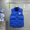 Fábrica Putian Venta al por mayor Chaleco Chaqueta de plumón de ganso Grande Clásico Otoño e Invierno Chaleco Corto Chaleco Chaqueta para Hombres y Mujeres Parejas