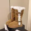 Botas de Neve Longas da Moda para Mulheres 2026 Inverno Novo Estilo Botas Altas de Cavaleiro Botas de Algodão com Lã Espessada Sapatos de Algodão com Pelo do Nordeste
