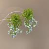 Aretes de Acero Pin Lazo Cuentas de Arroz Concha Verano Suave Elegante Elegantes Aretes Diseño con Sentido Nicho
