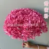 Hortênsia Flor Eterna Anna Hortênsia Bola Grande de Hortênsia Decorativa Artesanal DIY Material Sacola Outlet de Fábrica Yunnan