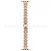 Adecuado para Apple Watch S11 Generación Se10/987 Correa de Reloj para Mujer con Purpurina Pequeña de Tres Bolas Correa de Metal para Reloj