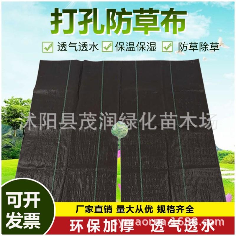 防草布012
