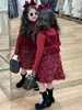 2025 Nueva Ropa de Invierno Estilo Coreano para Niños Niñas Malla de Pétalos Vestido de Pastel Chaleco Vestido Suéter de Cuello Alto Año Nuevo