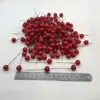 10mm Frutas vermelhas de Natal simulação bolha Baga Acessórios de Natal caixa de presente Guirlanda DIY Planta simulação de rattan