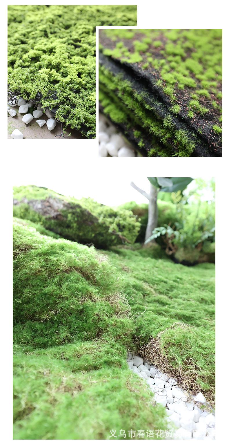青丝草皮苔藓_07.jpg