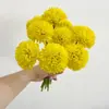 Planta verde simulada com Yang cravo verde venda quente transfronteiriça bola espinhosa sentir cravo flor falsa de plástico bola de pelo verde decoração de mesa de jantar