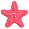 Bolsa de praia removível DIY para meninas explosivas Bolsa Bogg hole Sapatos de jardim decorativos Fivela de sapato flor no sapato em estoque atacado